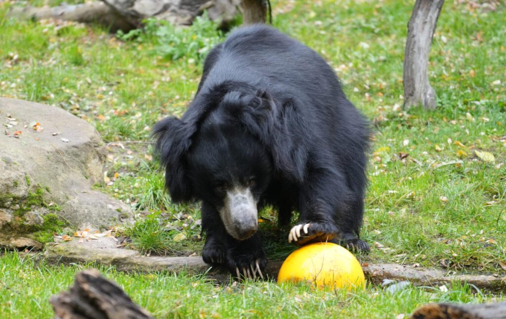 Zoo Leipzig