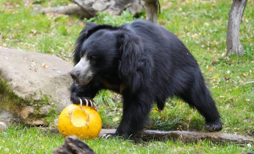 Zoo Leipzig