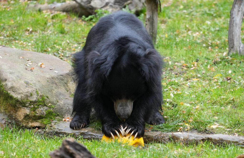 Zoo Leipzig