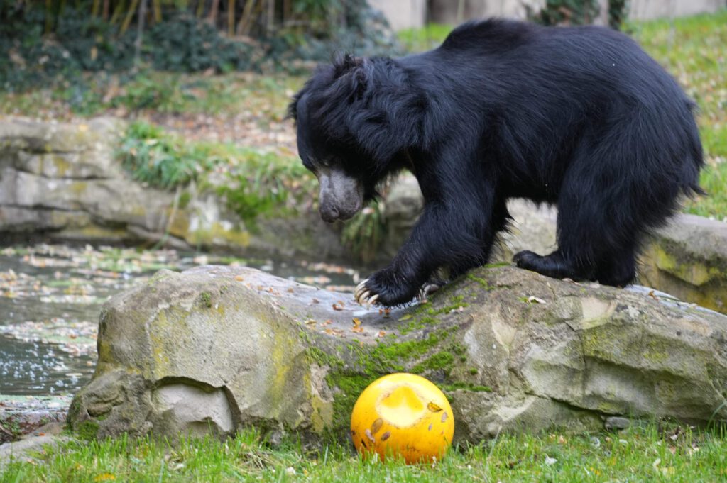 Zoo Leipzig