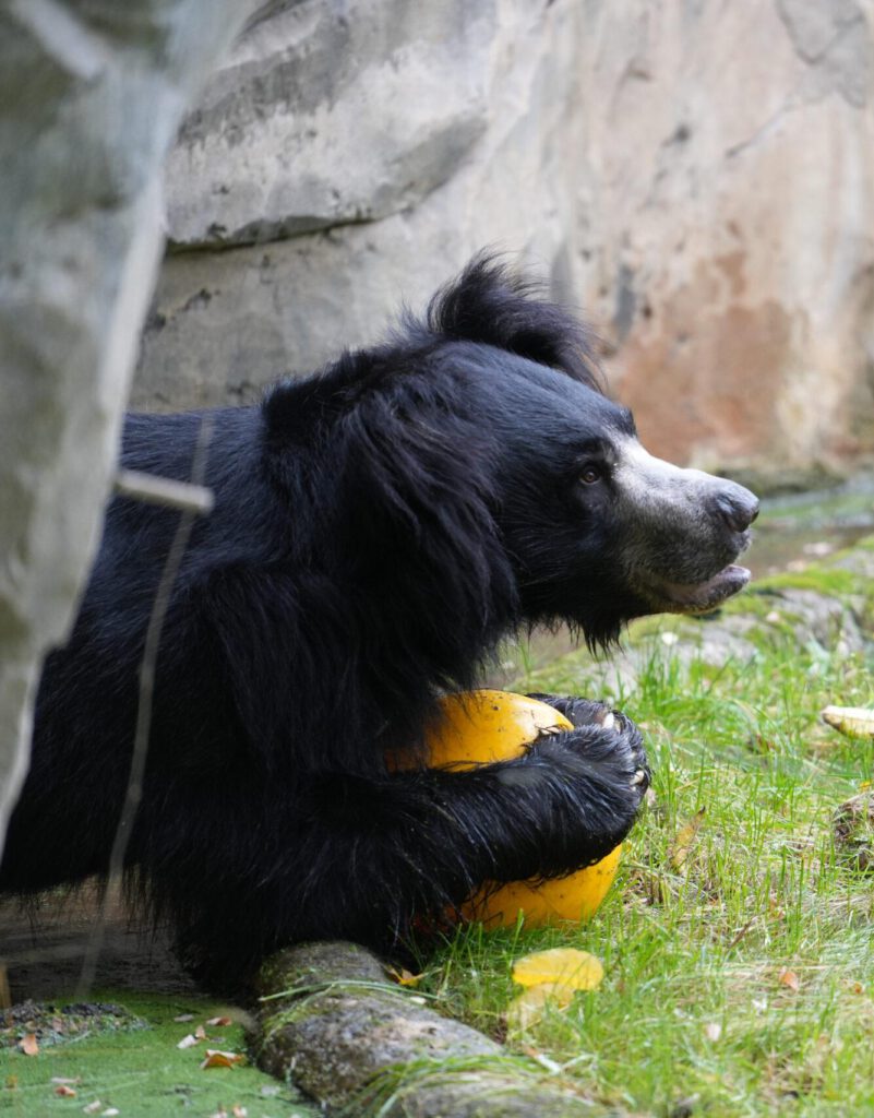 Zoo Leipzig