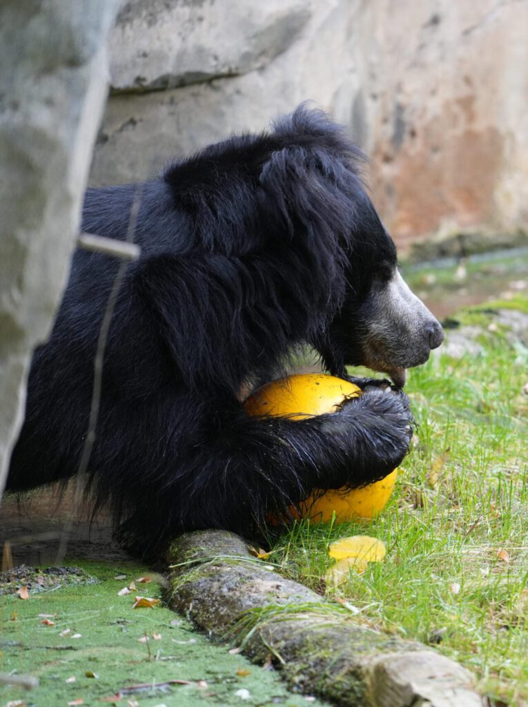 Zoo Leipzig