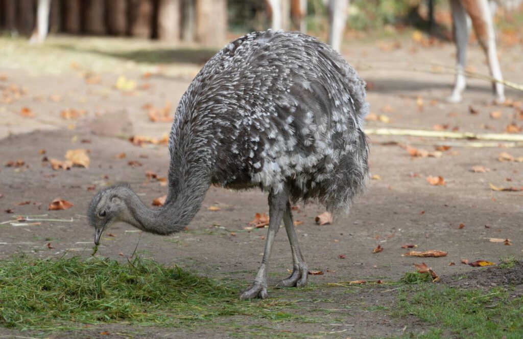 Zoo Leipzig