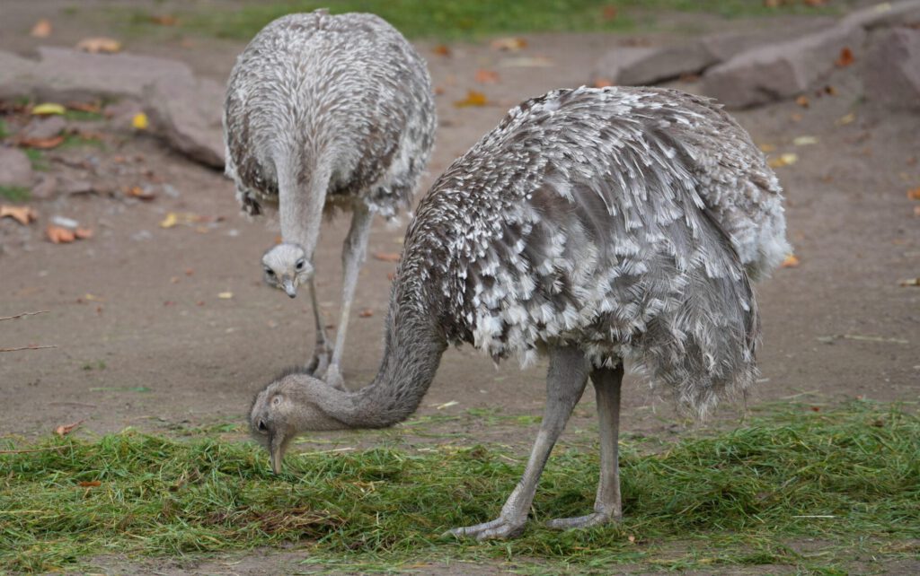 Zoo Leipzig