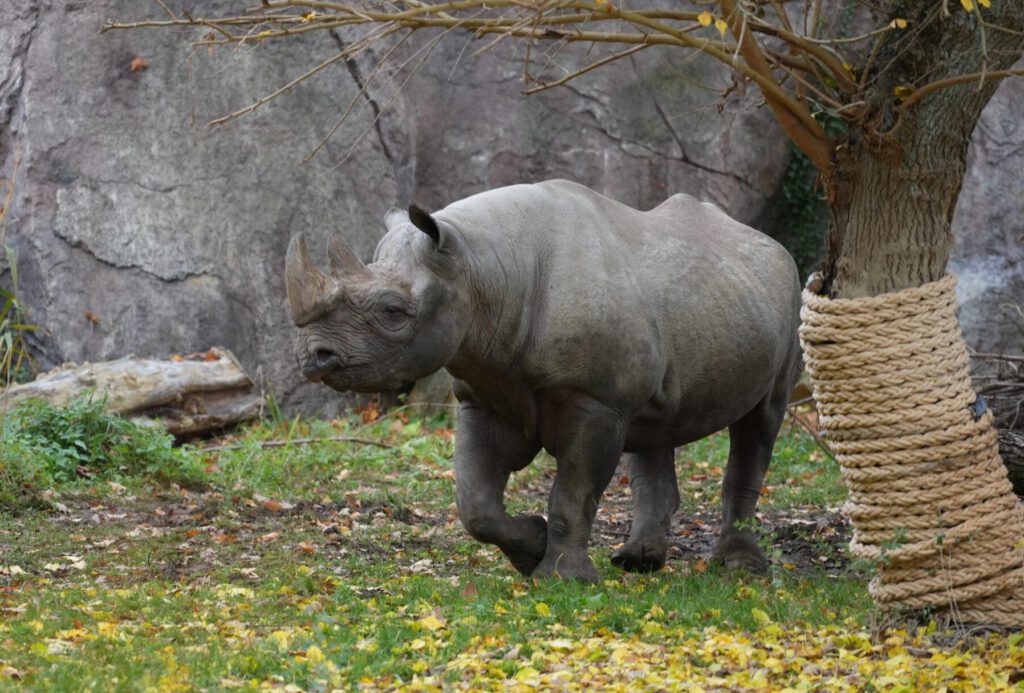 Zoo Leipzig