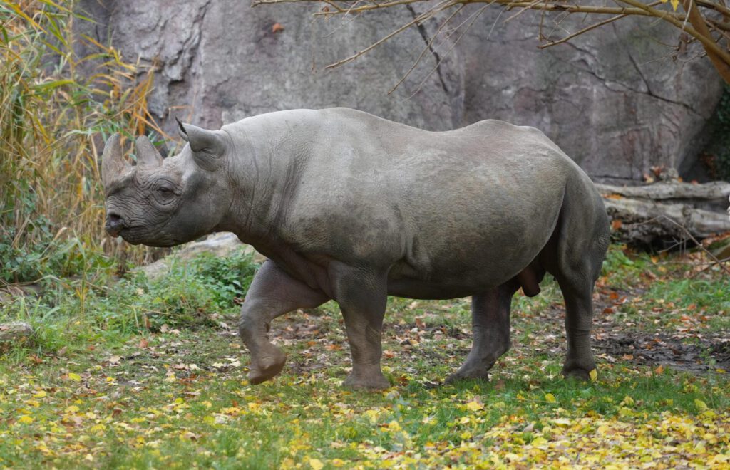 Zoo Leipzig