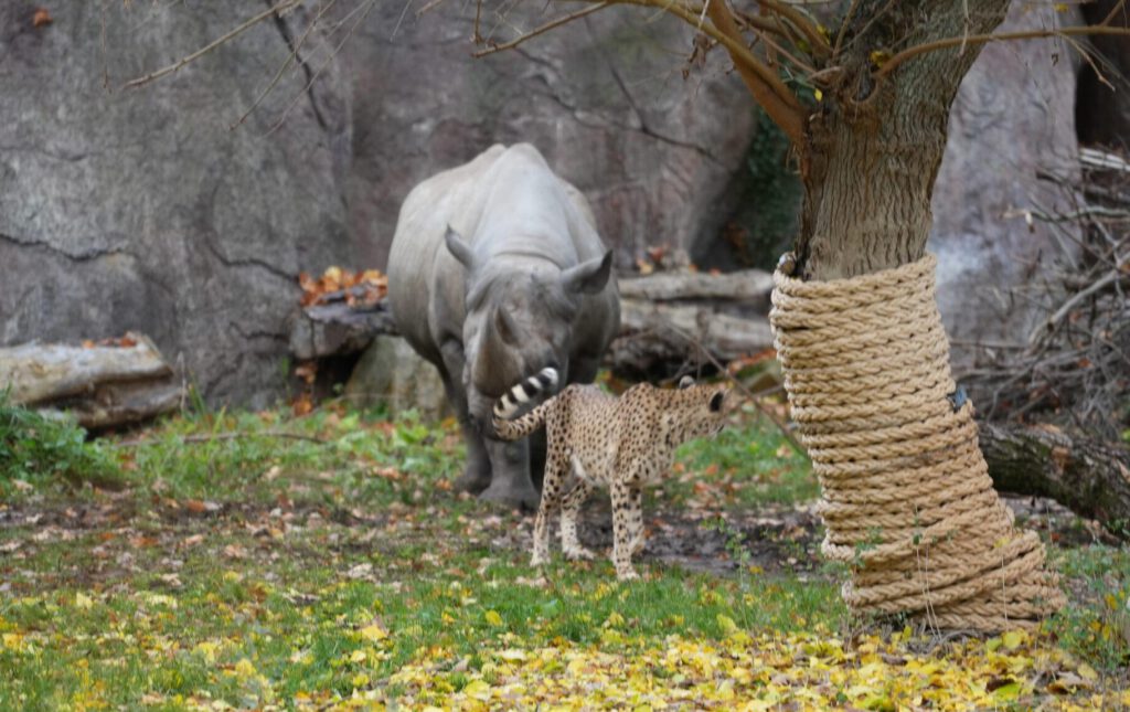 Zoo Leipzig