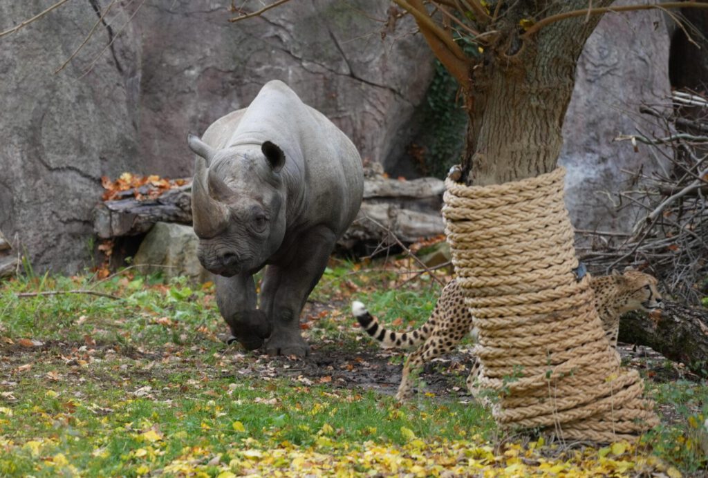 Zoo Leipzig
