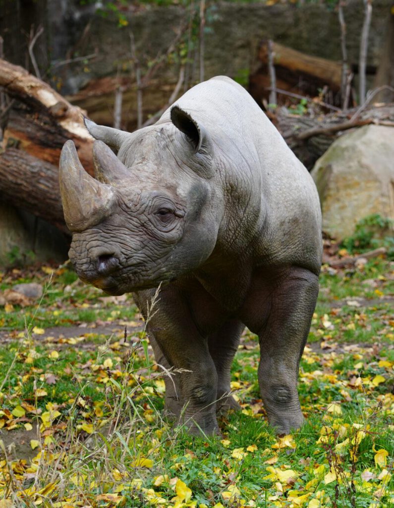 Zoo Leipzig