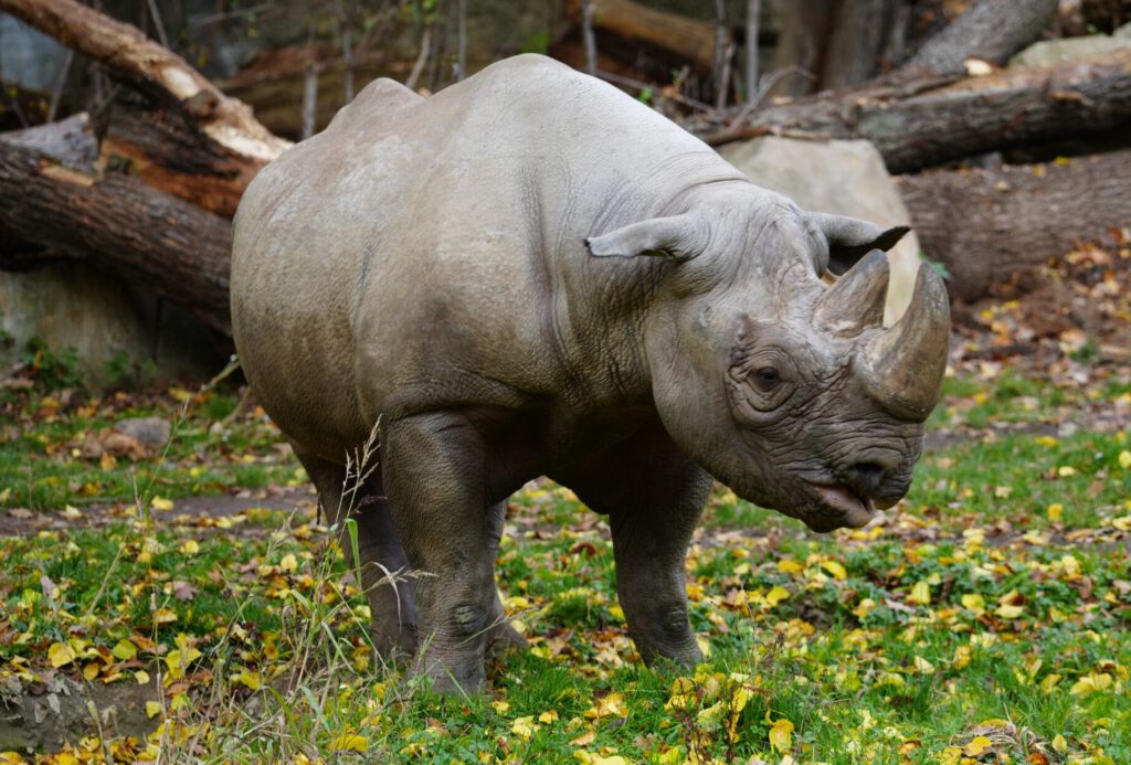 Zoo Leipzig