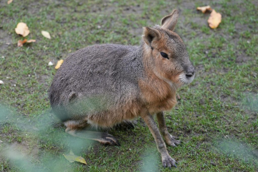 Zoo Leipzig