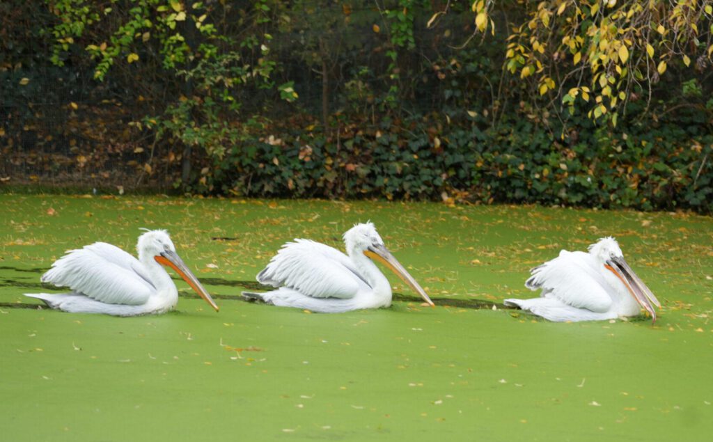 Zoo Leipzig