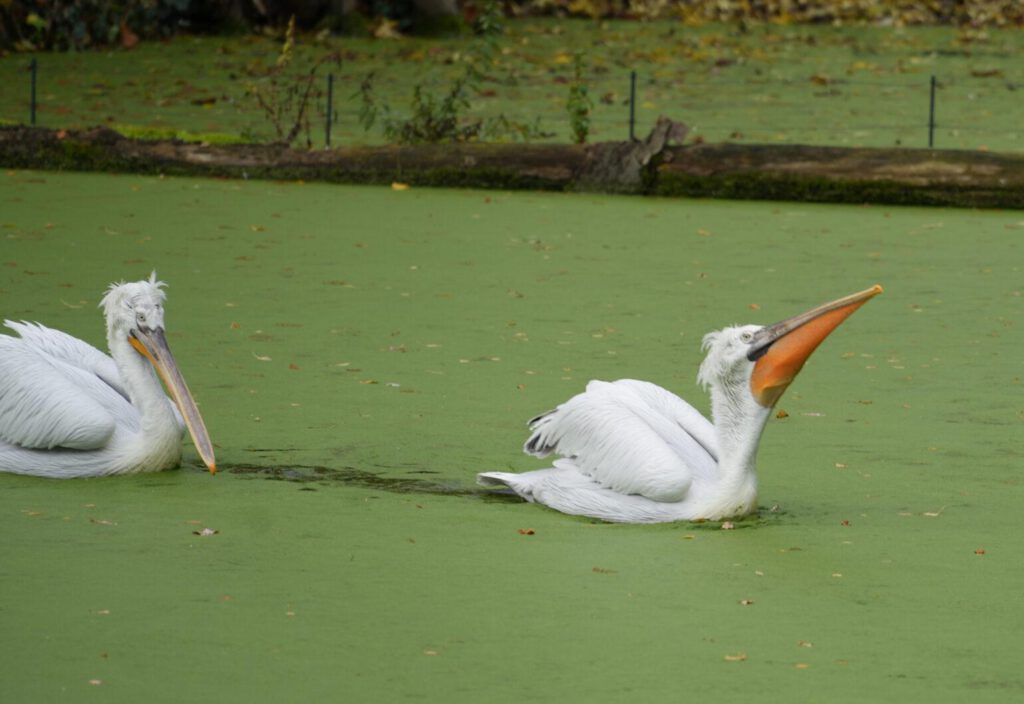 Zoo Leipzig