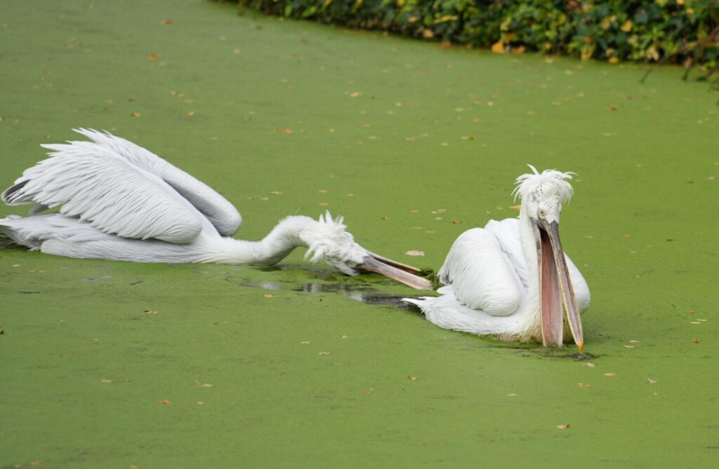 Zoo Leipzig
