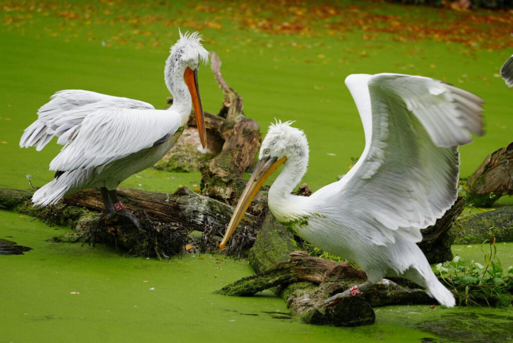Zoo Leipzig
