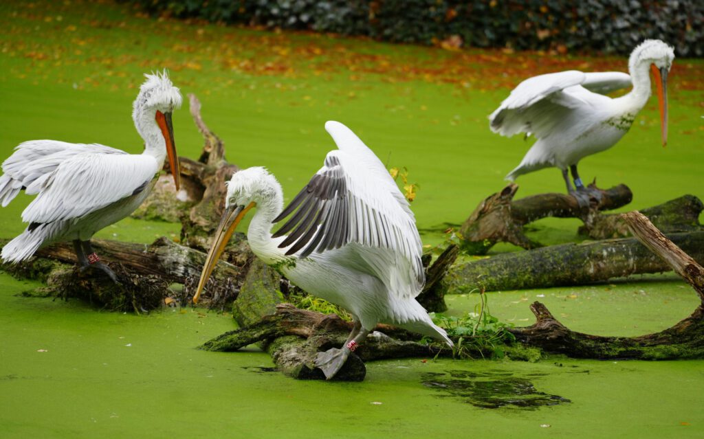 Zoo Leipzig