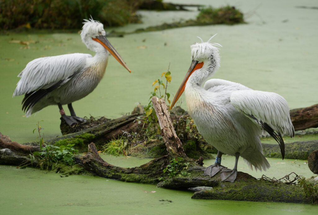 Zoo Leipzig