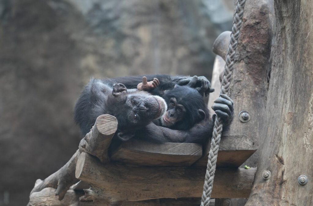 Zoo Leipzig