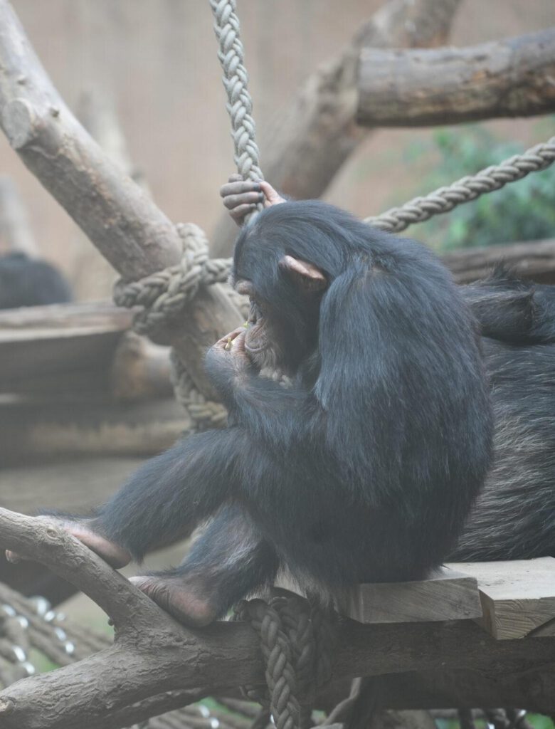 Zoo Leipzig