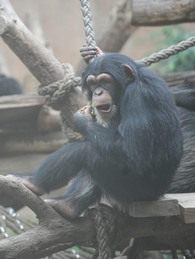 Zoo Leipzig