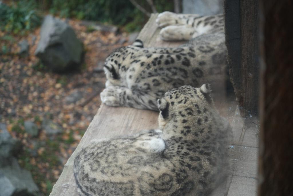 Zoo Leipzig