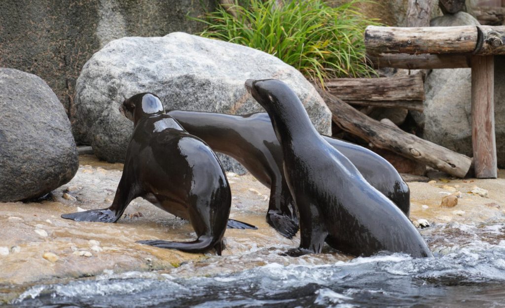 Zoo Leipzig
