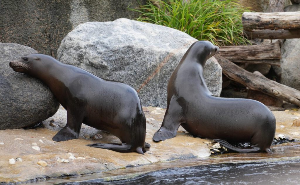 Zoo Leipzig