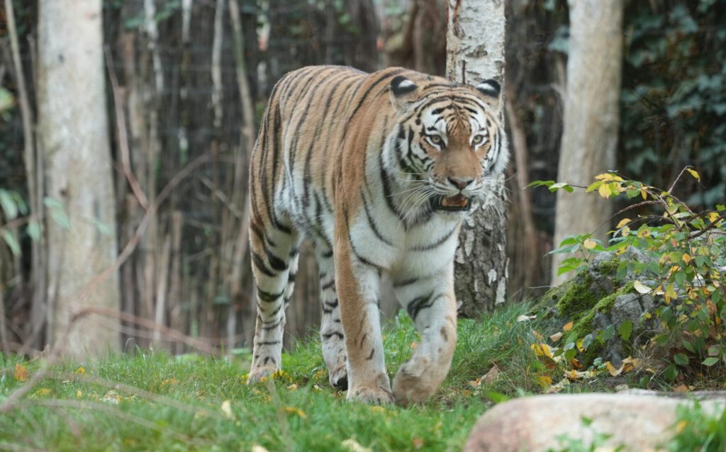 Zoo Leipzig