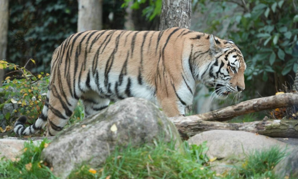 Zoo Leipzig
