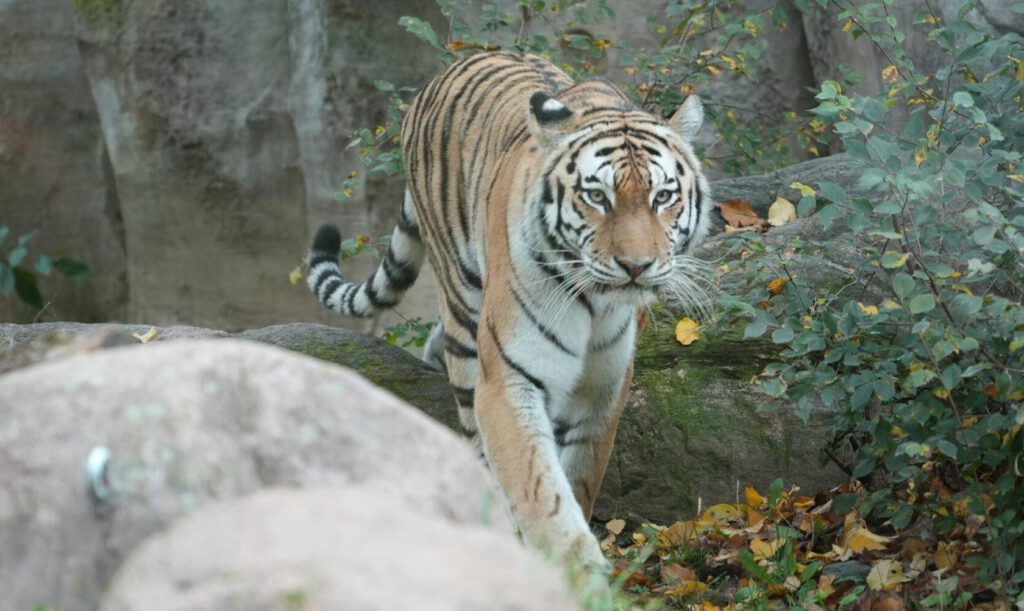 Zoo Leipzig