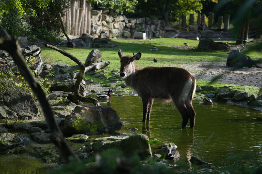 Allwetterzoo Münster
