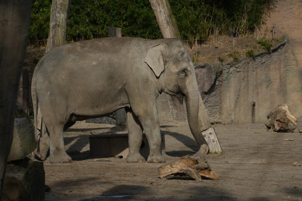 Allwetterzoo Münster