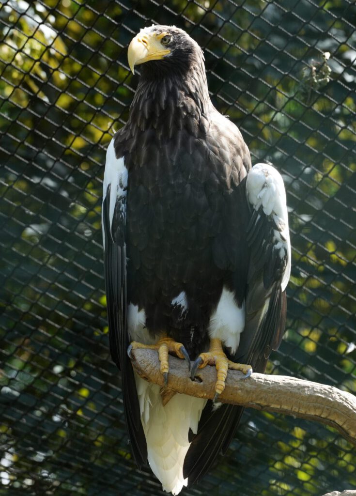 Zoo Prag