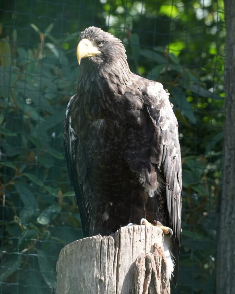 Zoo Prag