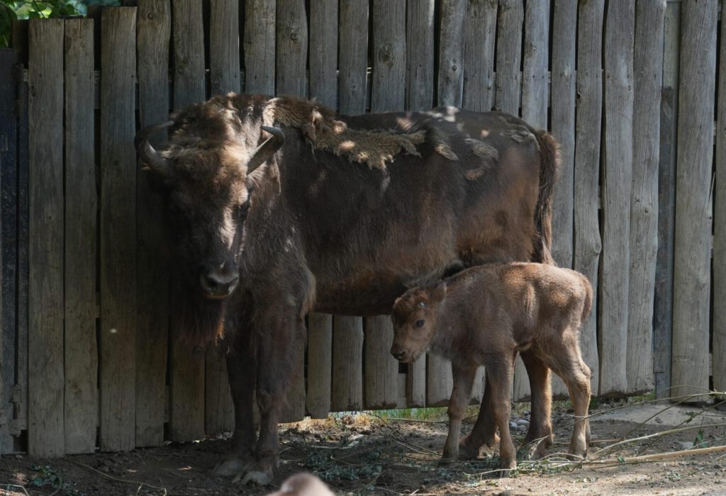 Zoo Prag