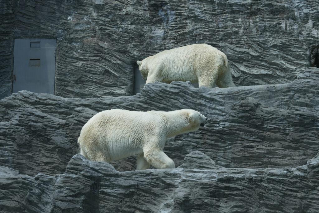 Zoo Prag