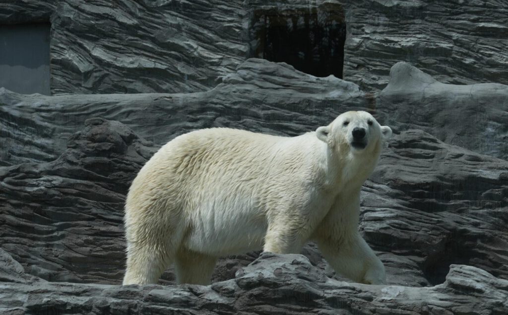 Zoo Prag