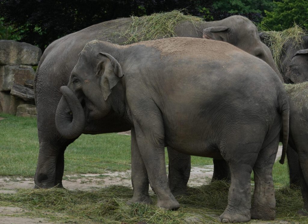 Zoo Prag