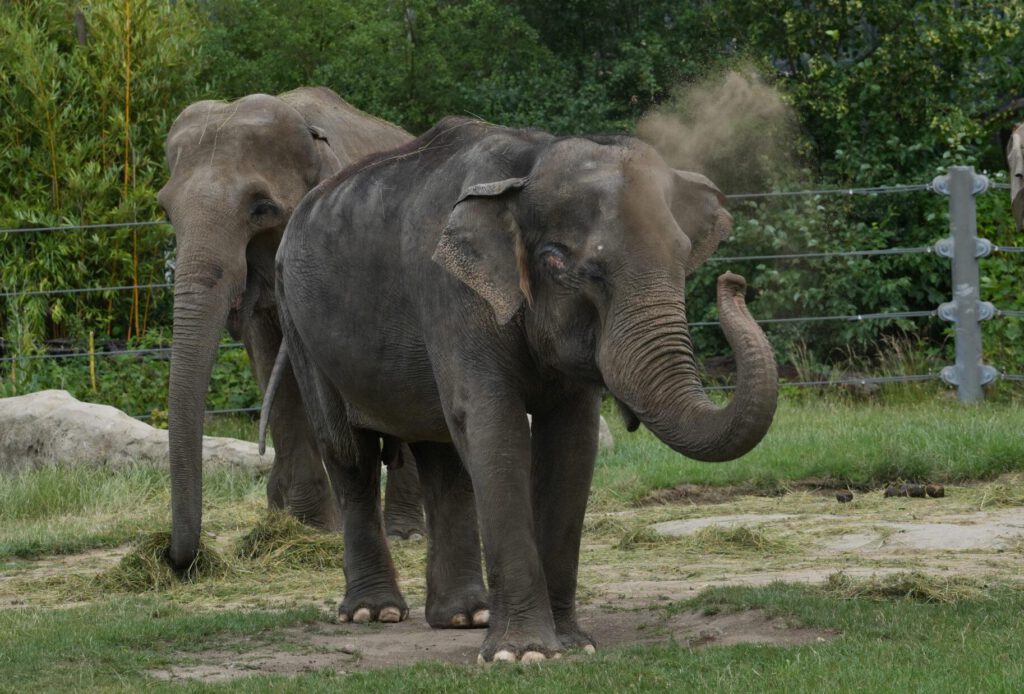 Zoo Prag