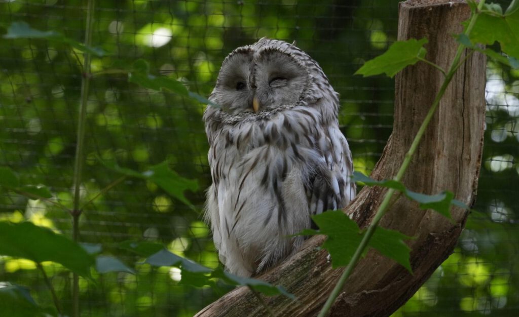 Zoo Prag