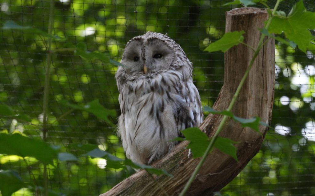 Zoo Prag