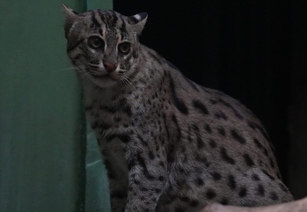 Zoo Prag