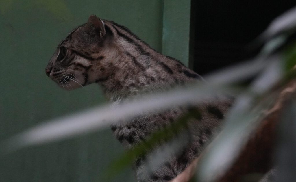 Zoo Prag