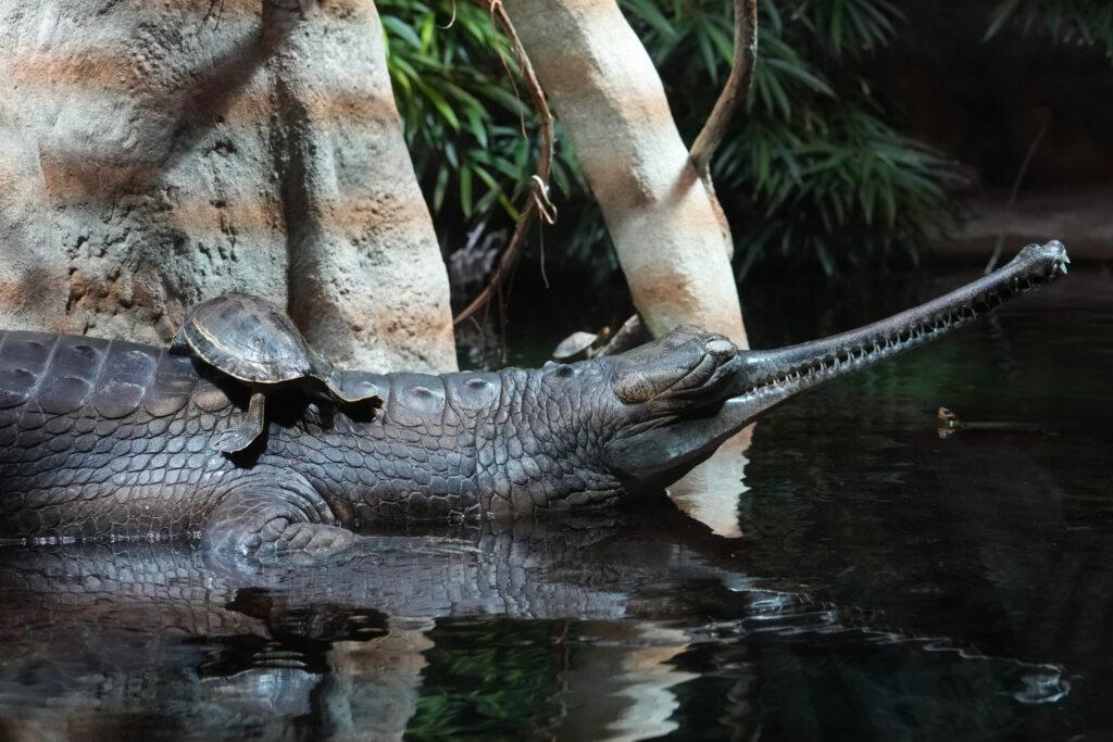 Zoo Prag