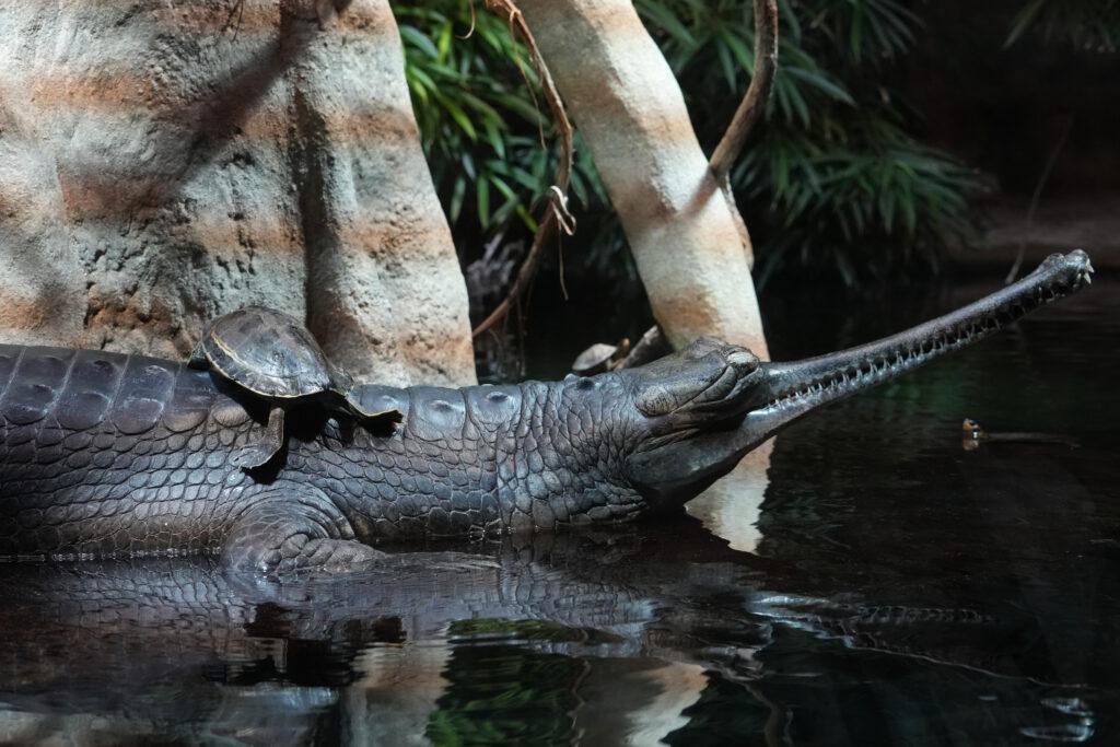 Zoo Prag