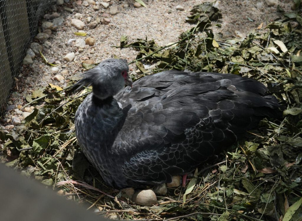 Zoo Prag