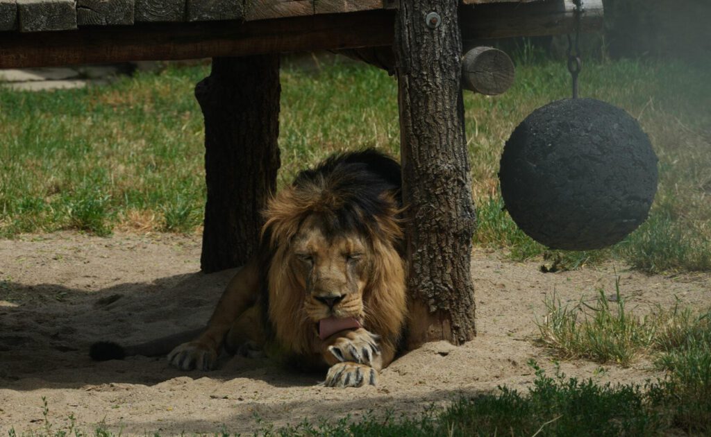 Zoo Prag