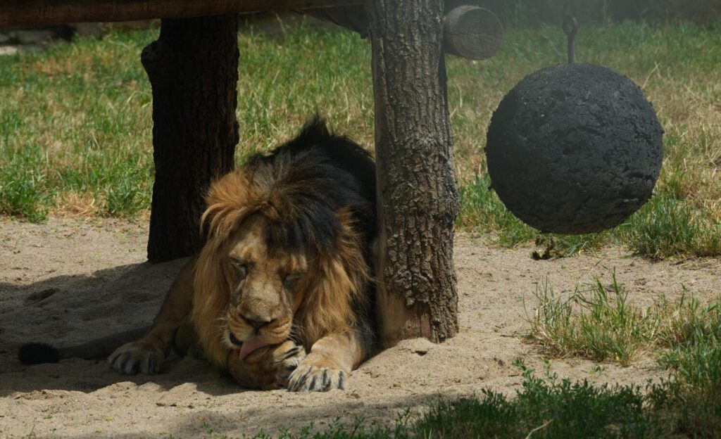 Zoo Prag