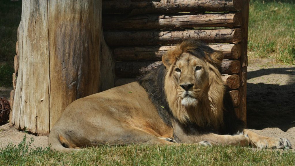 Zoo Prag