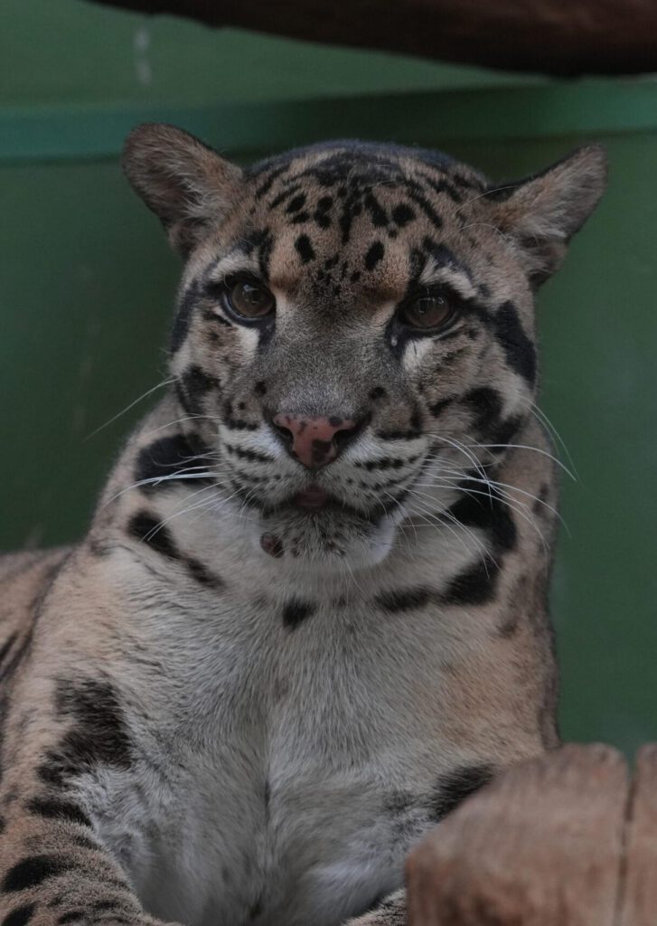 Zoo Prag